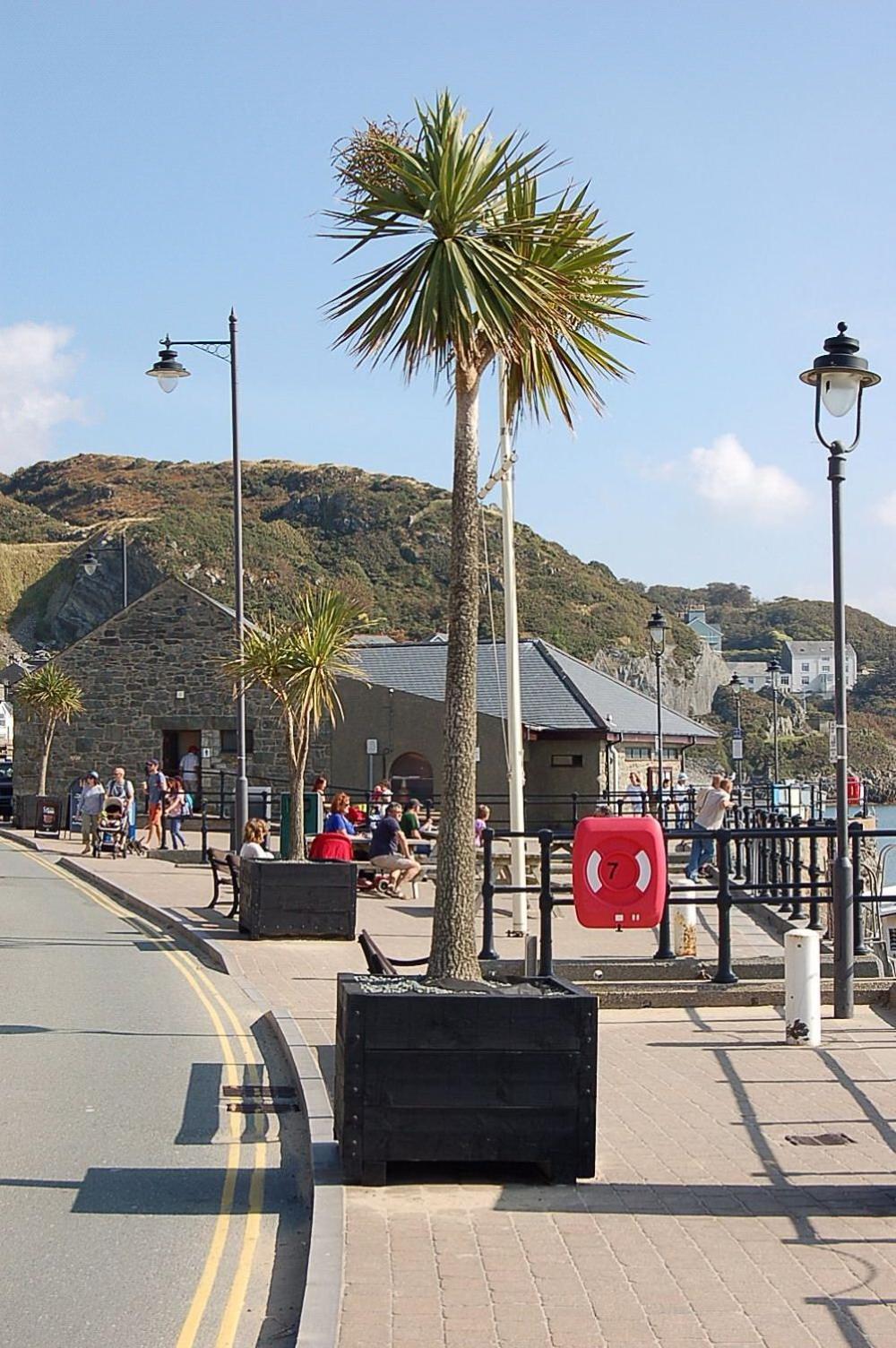 Beach Vista Apartment Three In Barmouth Exterior photo